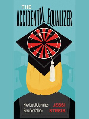 cover image of The Accidental Equalizer